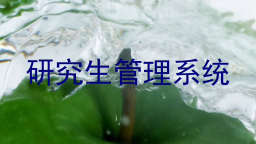 研究生管理系统