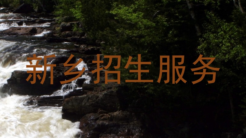 新乡招生服务