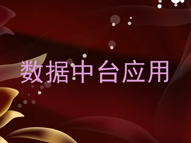 数据中台应用