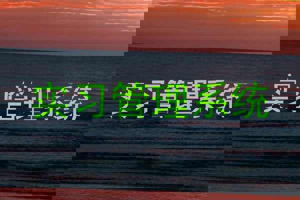 实习管理系统