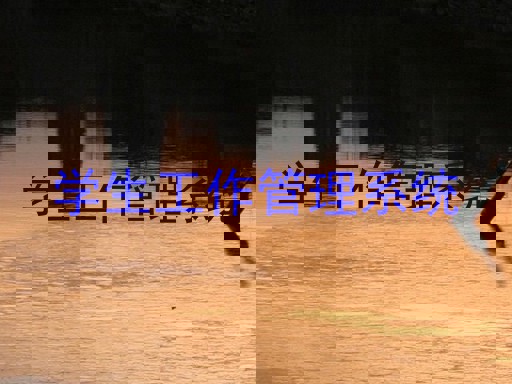 学生工作管理系统