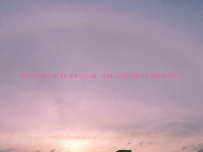 首都医科大学附属北京地坛医院、中国人民解放军总医院第五医学中