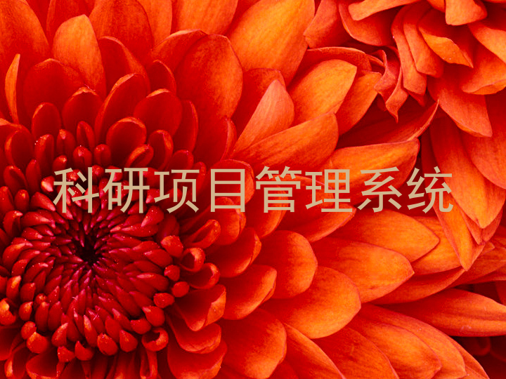 科研项目管理系统