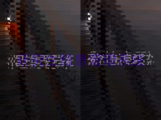 研究生信息管理系统
