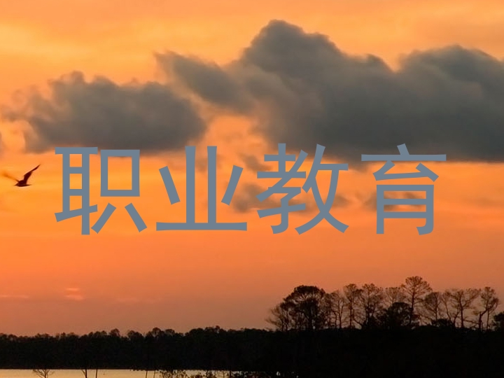职业教育