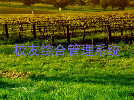 校友综合管理系统
