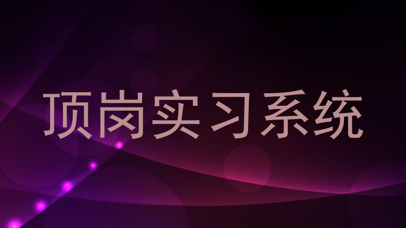 顶岗实习系统