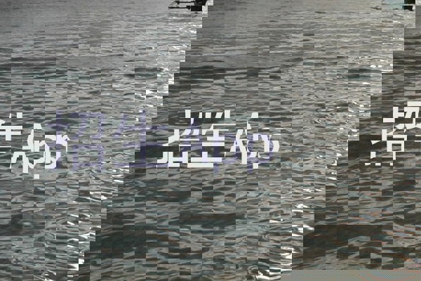 招生App