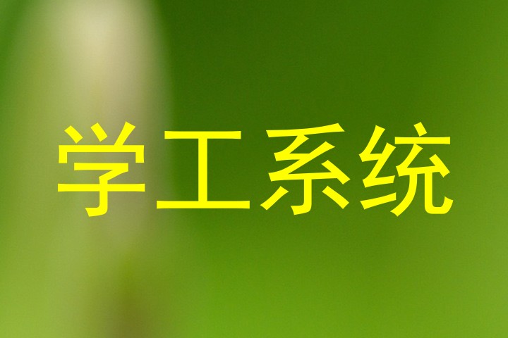 学工系统