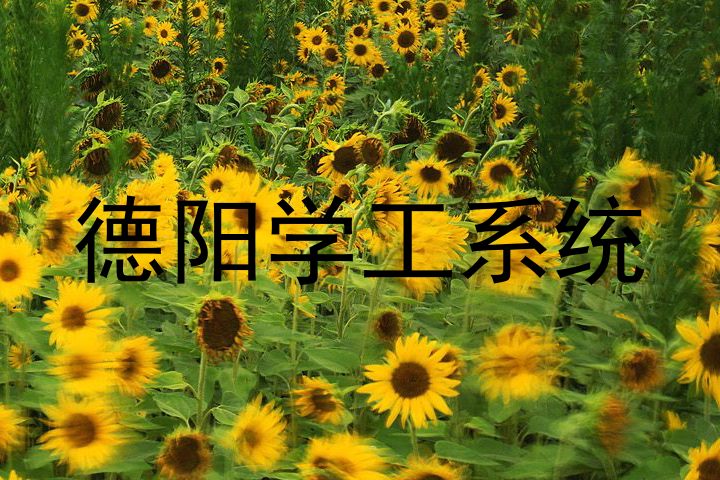 德阳学工系统