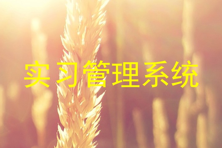 实习管理系统