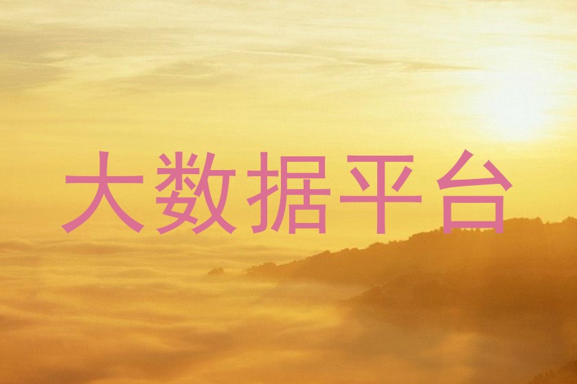 大数据平台