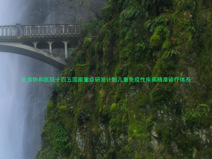北京协和医院十四五国家重点研发计划儿童免疫性疾病精准诊疗体系