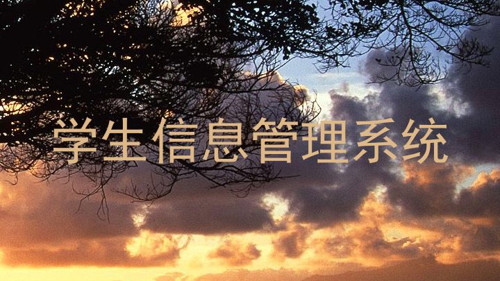 学生信息管理系统