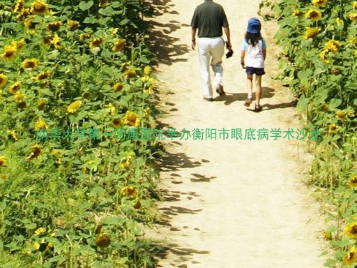 南华大学第一附属医院举办衡阳市眼底病学术沙龙