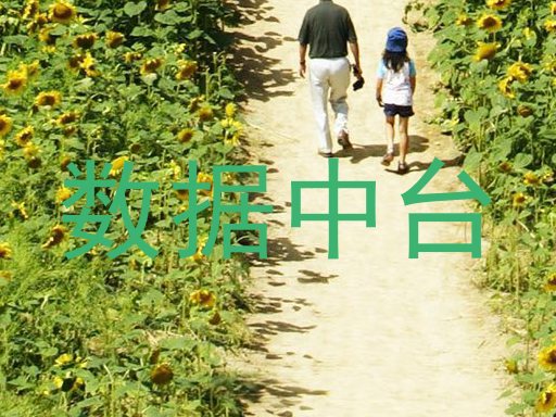 数据中台