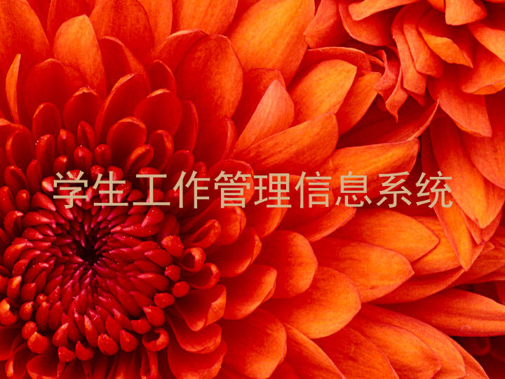 学生工作管理信息系统