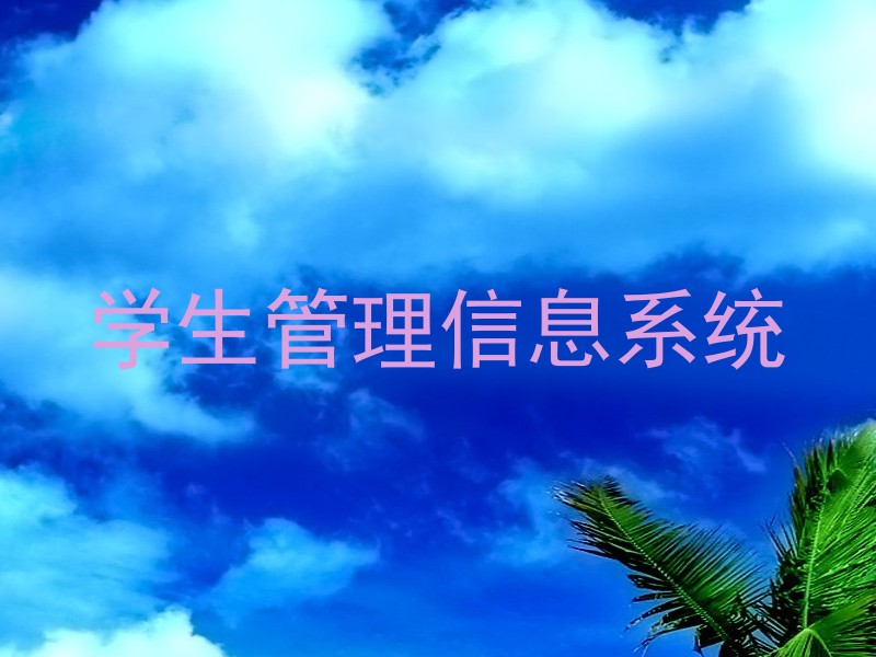 学生管理信息系统