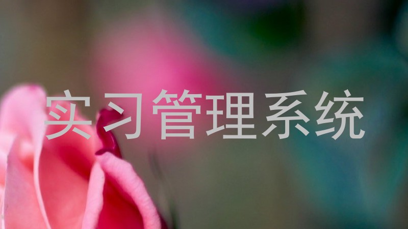 实习管理系统