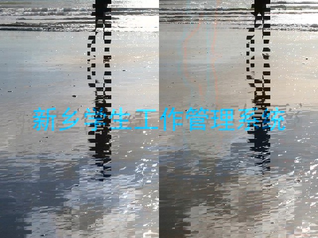 新乡学生工作管理系统