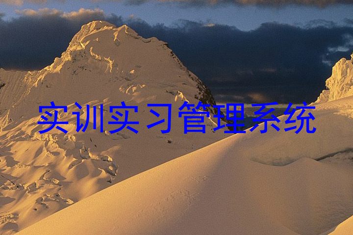 实训实习管理系统