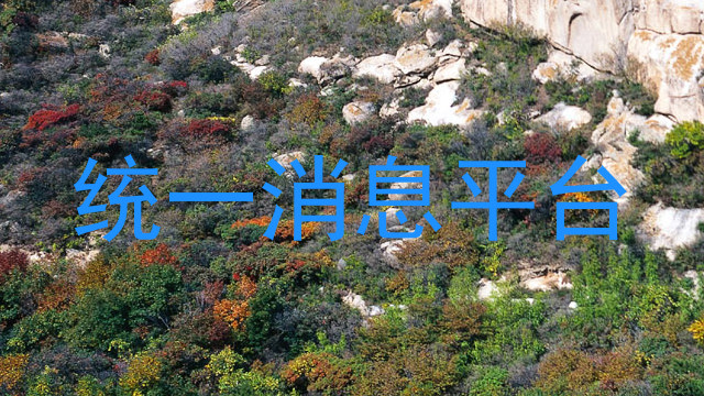 統(tǒng)一消息平臺