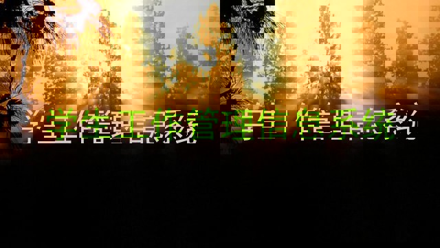 学生工作管理信息系统