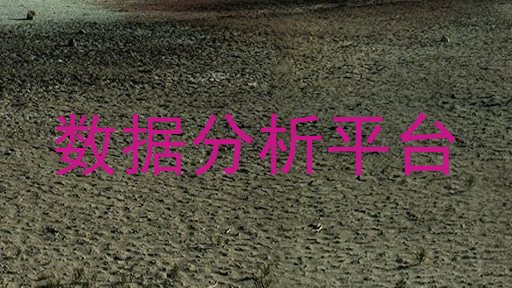 数据分析平台