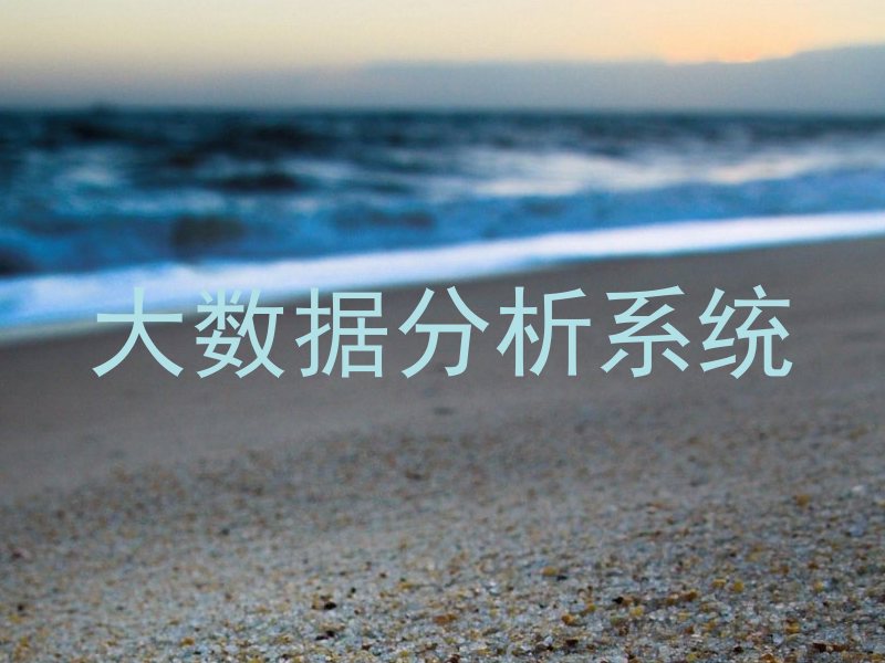 大数据分析系统