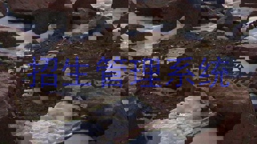 招生管理系统