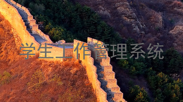 学生工作管理系统