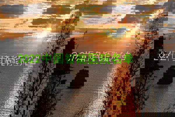 2022中国智能医院名单