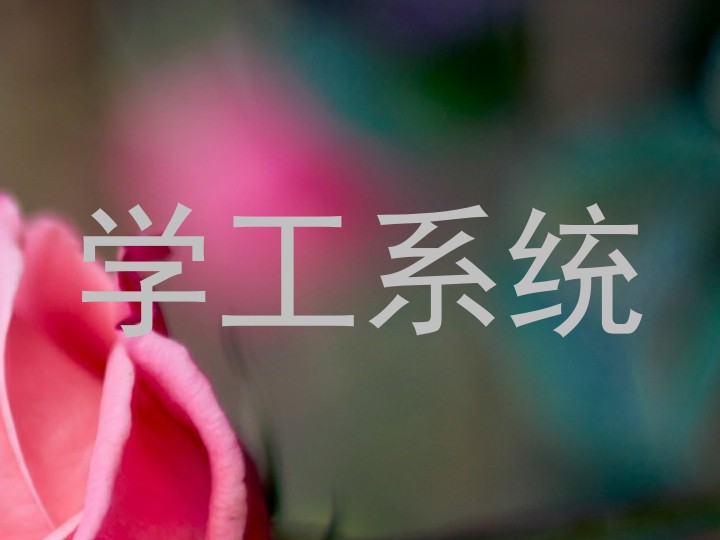 学工系统