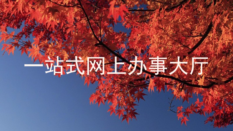 一站式网上办事大厅