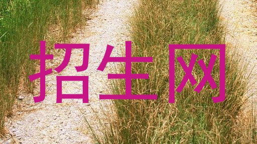 招生网