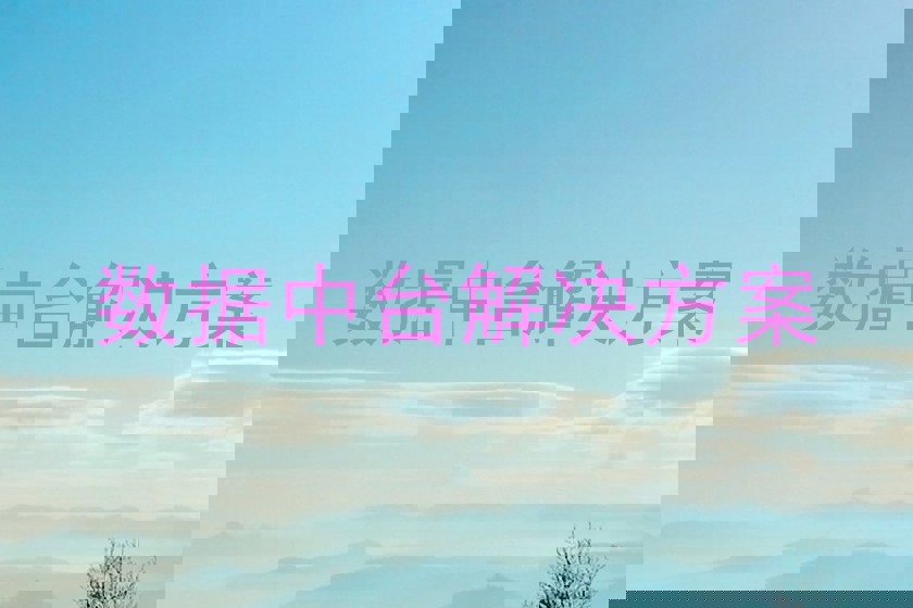 数据中台解决方案