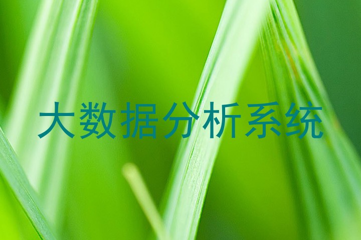 大数据分析系统