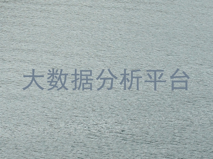 大数据分析平台