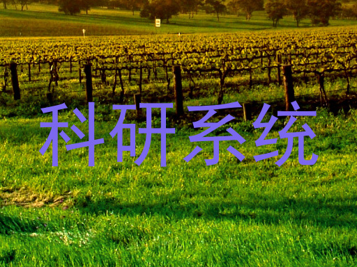 科研系统
