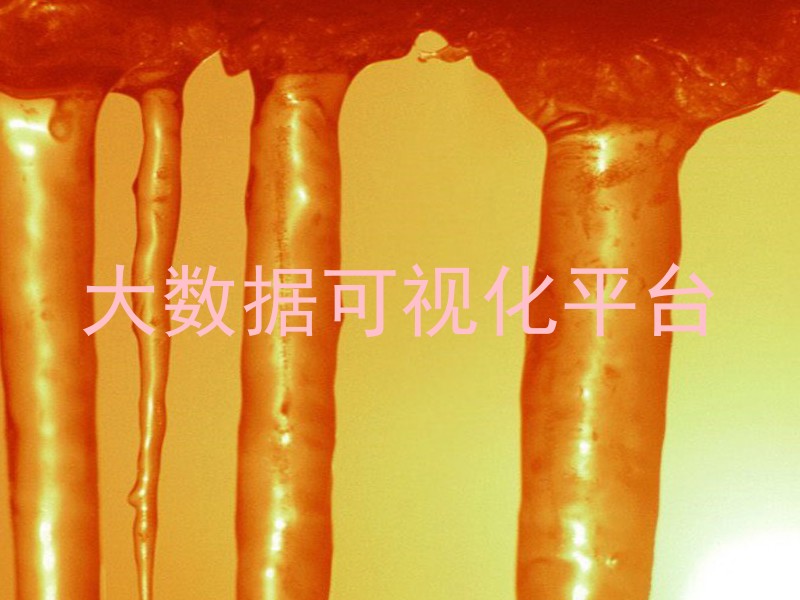 大数据可视化平台