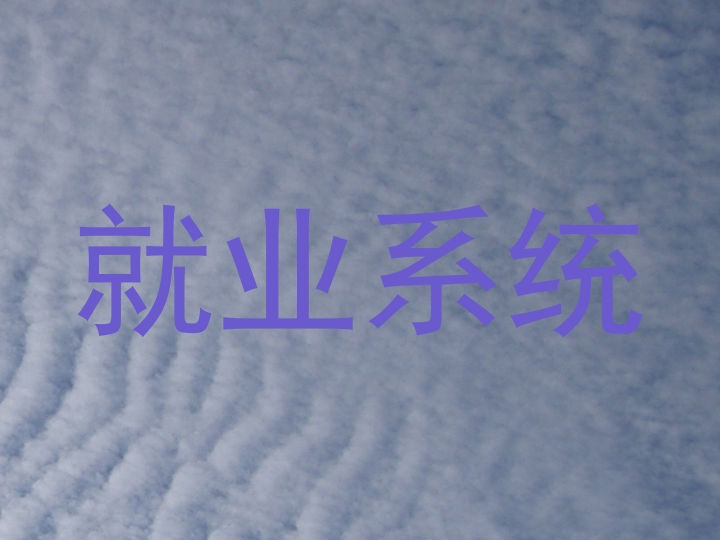 就业系统