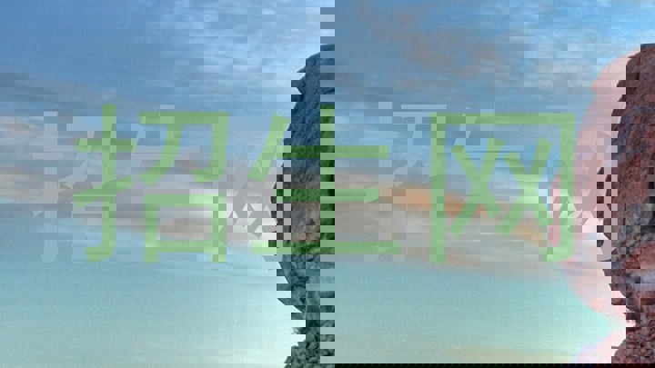招生网