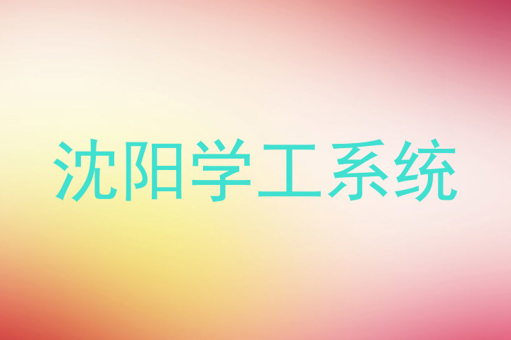沈阳学工系统