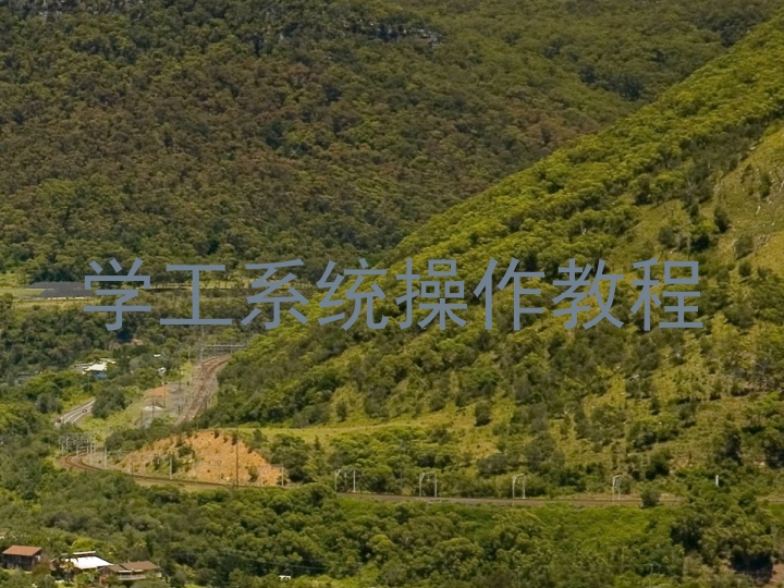 学工系统操作教程