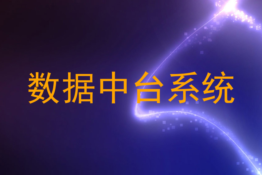 数据中台系统