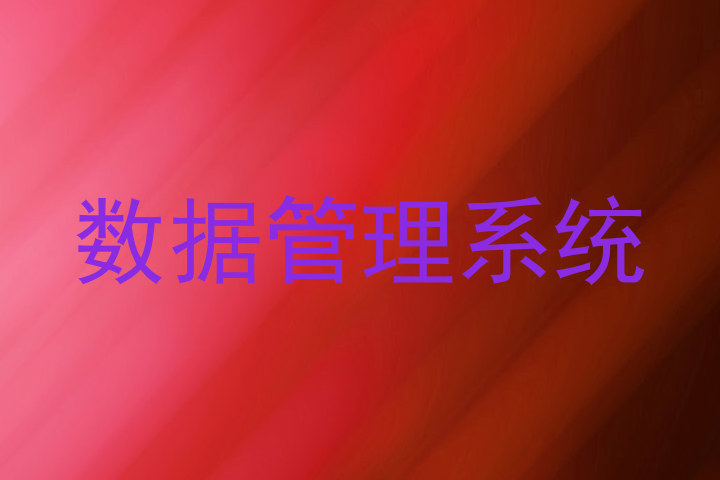 数据管理系统
