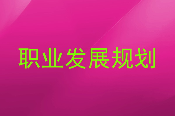 职业发展规划