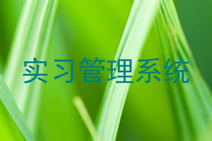 实习管理系统