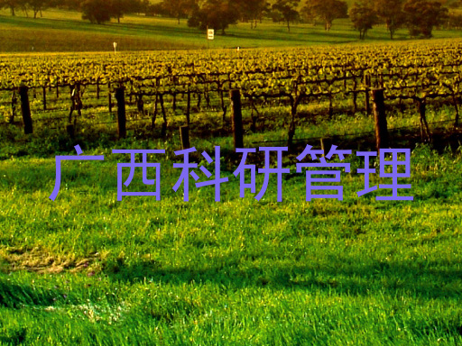 广西科研管理