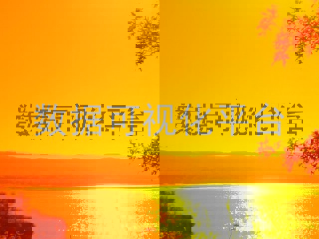 数据可视化平台